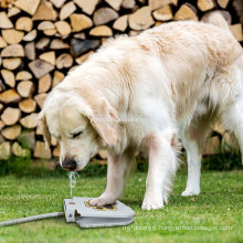 Factory Wholesale Clean Water Flowing from Automatic Dog Water Fountain
Factory Wholesale Clean Water Flowing from Automatic Dog Water Fountain